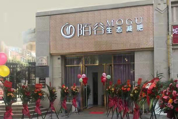 陌谷減肥店合作好 新疆加盟減肥店
